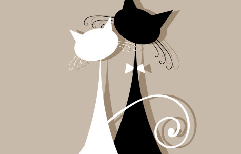 Lorem ipsum dolor sit amet